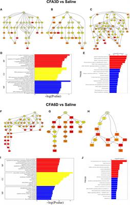 RNA sequencing profiling of mRNAs, long noncoding RNAs, and circular RNAs in Trigeminal Ganglion following Temporomandibular Joint inflammation